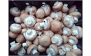 Picture of Paris Pink Chestnut Mushrooms