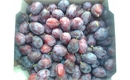 Picture of Herman Plums
