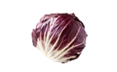 Picture of Baby Radicchio