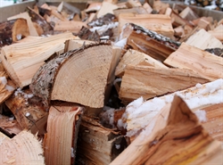 Picture of Hardwood Logs