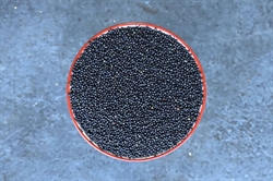 Picture of Whole Rapeseed
