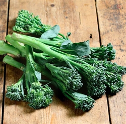 Picture of Tenderstem Broccoli