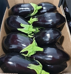 Picture of Lee Valley Aubergine