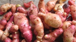 Picture of Pink Fir Potatoes