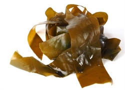 Picture of Fresh Kombu Seaweed
