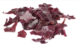 Picture of Fresh Dulse Seaweed