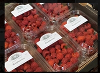 Picture of Sussex Raspberries