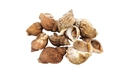 Picture of Live Whelks