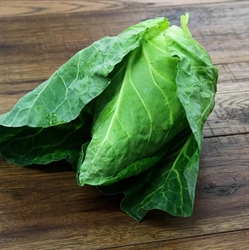 Picture of Hispi Cabbage