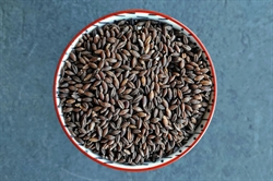 Picture of Black Barley, Wholegrain