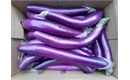 Picture of Long Aubergines