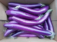 Picture of Long Aubergines