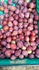 Juno Plums