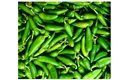 Picture of Green Fresno Chillies