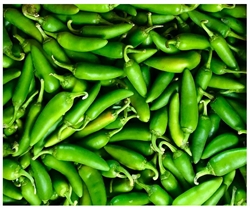 Picture of Green Fresno Chillies