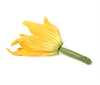 Picture of Green Courgette & Flower
