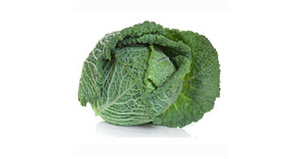 Spring Cabbage. Farm Direct