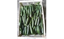 Picture of Green Courgettes