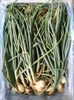 Picture of Green Onions