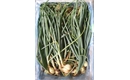 Picture of Green Onions
