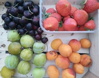 Picture of Kent Soft Fruits Selection