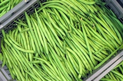 Picture of Green Beans