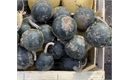 Picture of Gem Rolet Squash