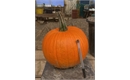 Picture of Pumpkin, large