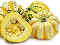 Picture of Celebration Squash