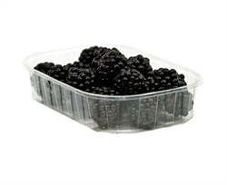 Picture of Sussex Blackberries 2