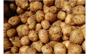 Picture of Acoustic Small Potatoes