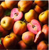 Picture of Kissabel Apples