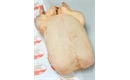 Picture of Whole Duck