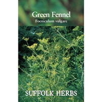 Picture of Green Fennel Seeds