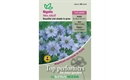 Picture of Nigella Miss Jekyll Seeds