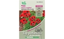 Picture of Ladybird Poppy Seeds