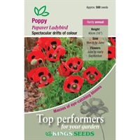 Picture of Ladybird Poppy Seeds