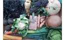 Picture of Seasonal Veg & Beans Box, Medium