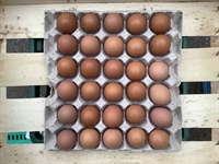 Picture of 240 Extra Large Eggs