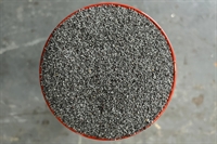 Picture of Blue British Poppy Seeds