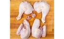 Picture of Jointed Chicken