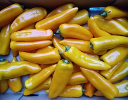 Picture of Yellow Romano Peppers