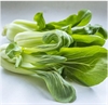 Picture of Pak Choi