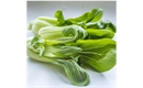 Picture of Pak Choi