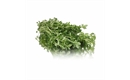 Picture of Fresh Lemon Thyme, (bunch)