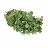 Picture of Fresh Marjoram, (bunch)