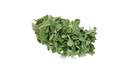 Picture of Fresh Marjoram, (bunch)