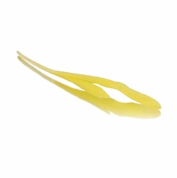 Picture of Sweetcorn Shoots