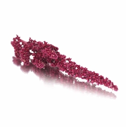 Picture of Amaranth Edible Flowers