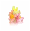 Picture of Snapdragon Edible Flowers